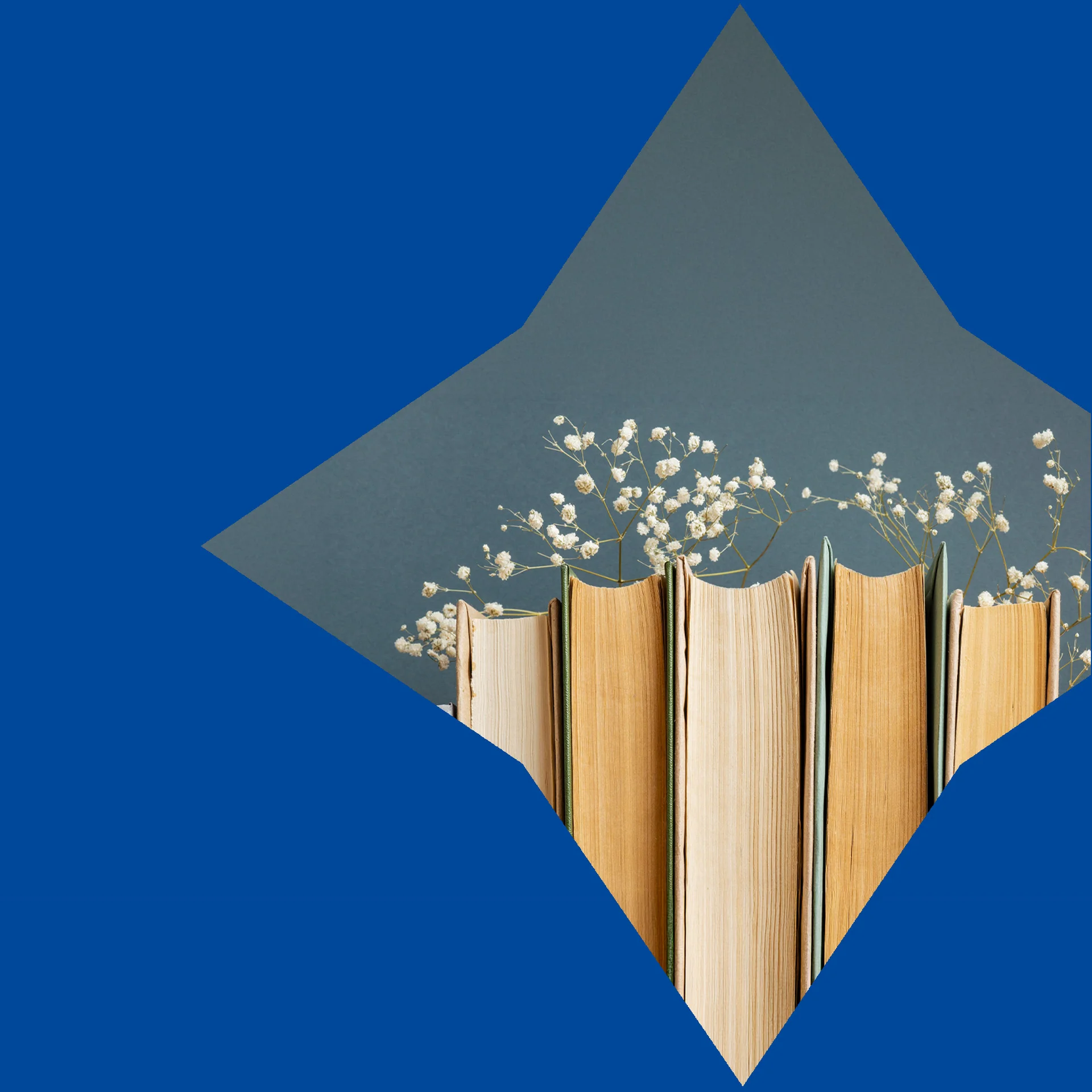 Książki w sygencie