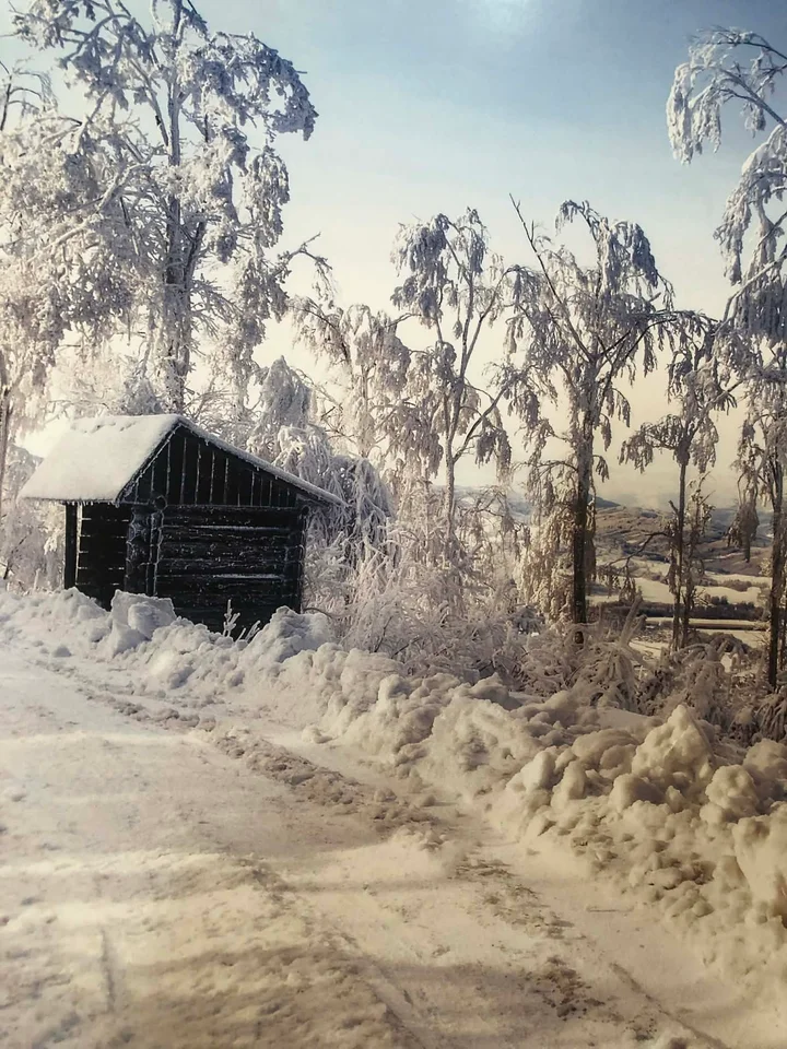 zaśnieżona droga-widok