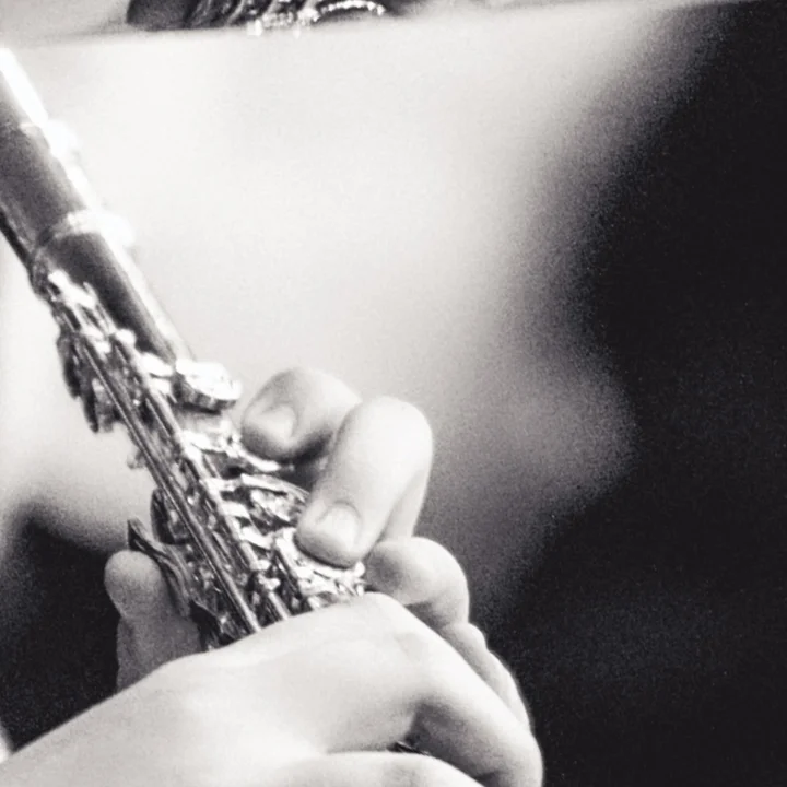 zbliżenie gry na flecie